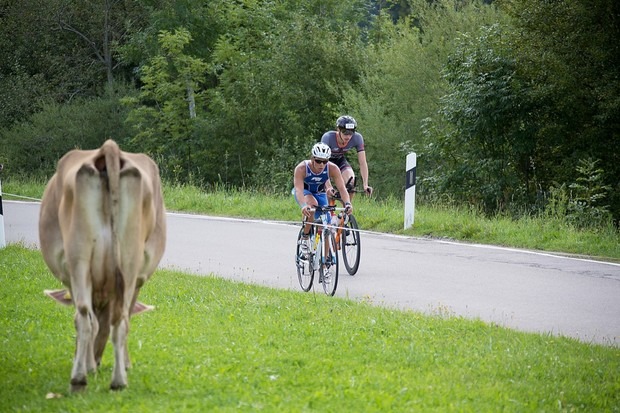 (c) Marc Sjoeberg / www.ingokutsche.de